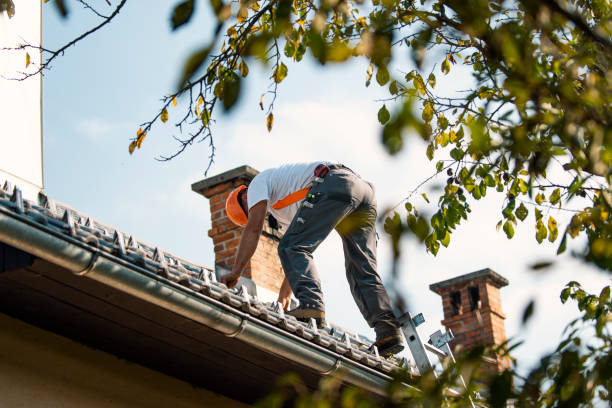 Best Roof Repair Services  in Jersey City, NJ